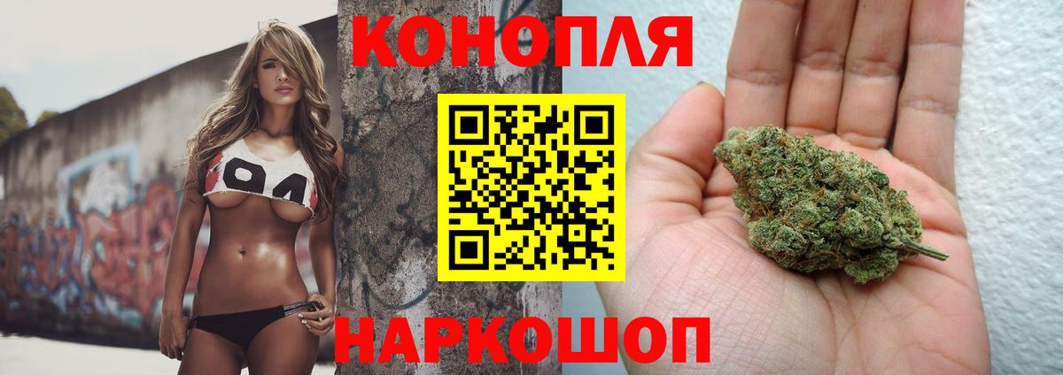 Бошки Шишки план Лесосибирск